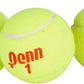 Penn Championship Tennis Balls - Regular Duty Felt Pressurized Tennis Balls