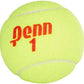 Penn Championship Tennis Balls - Regular Duty Felt Pressurized Tennis Balls