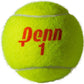 Penn Championship Tennis Balls - Regular Duty Felt Pressurized Tennis Balls